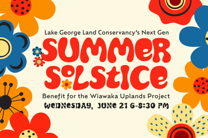 Wiawaka-copy-1-1-700×467