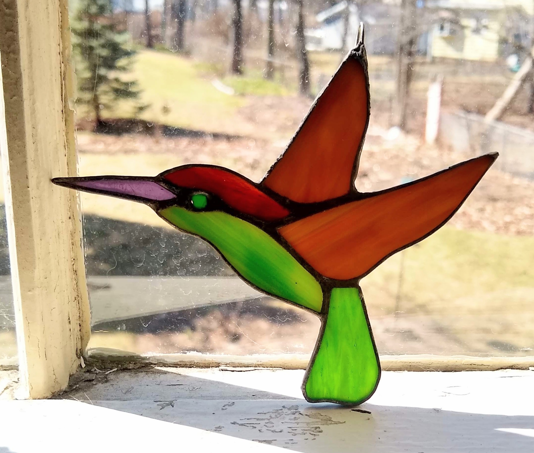 hummingbird_class_project
